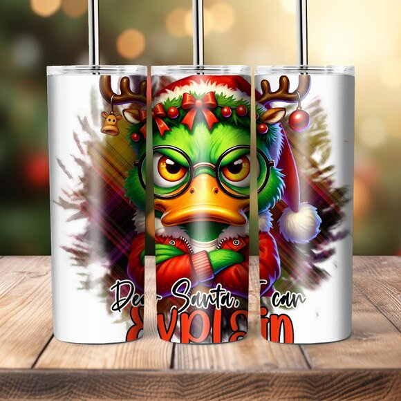 20oz Custom Tumbler- Dear Santa, I can explain - Picture 1 of 1
